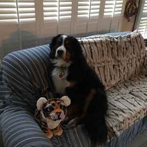 Meet your Posher, Chris